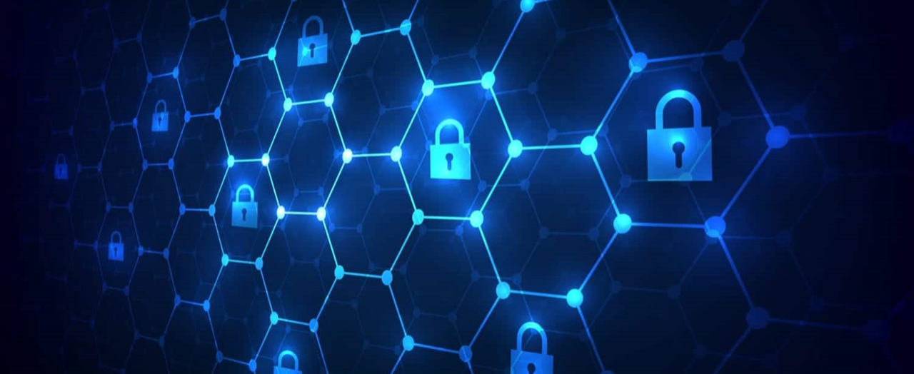 Picture, parceira SonicWall há mais de 15 anos em projetos de segurança de rede.